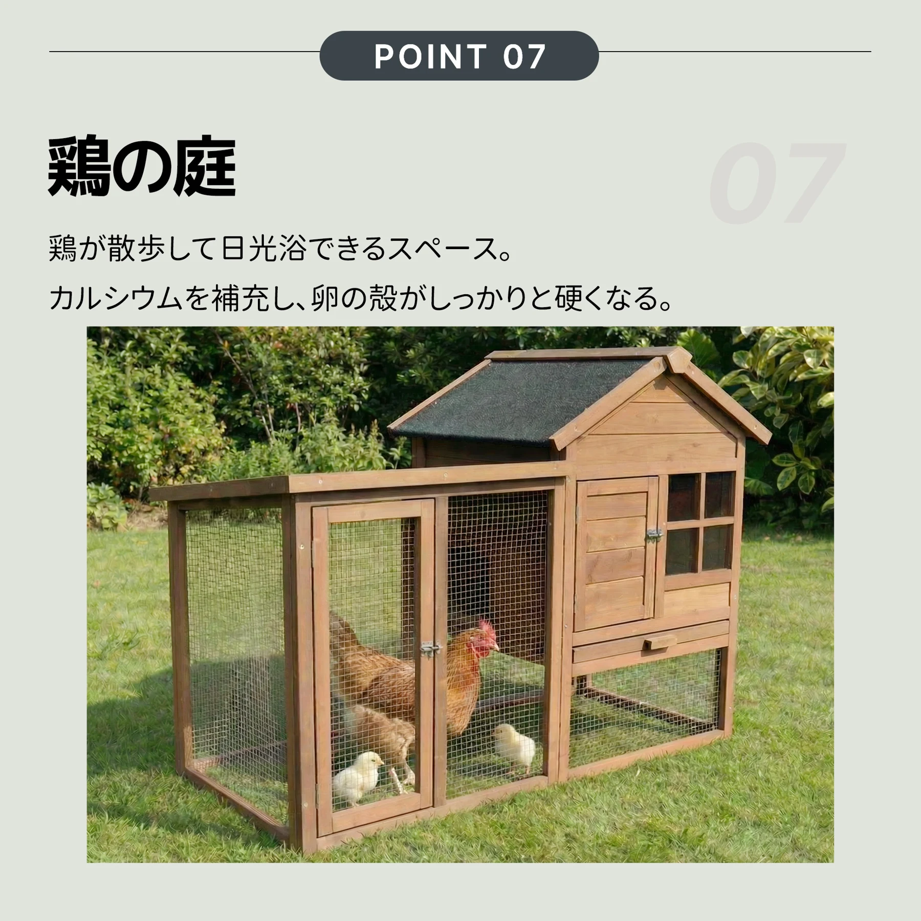 大型ペットケージ 小動物ケージ 鶏ケージ 4~6 羽用 大型鳥かご 無垢材 防水仕様 鶏小屋 鶏用ケージ 鶏舎 室内屋外兼用 大容量 うずら 鳩 兎 モルモット フェレット ハリネズミ 飼育小屋 組立簡単【ナチュラル】