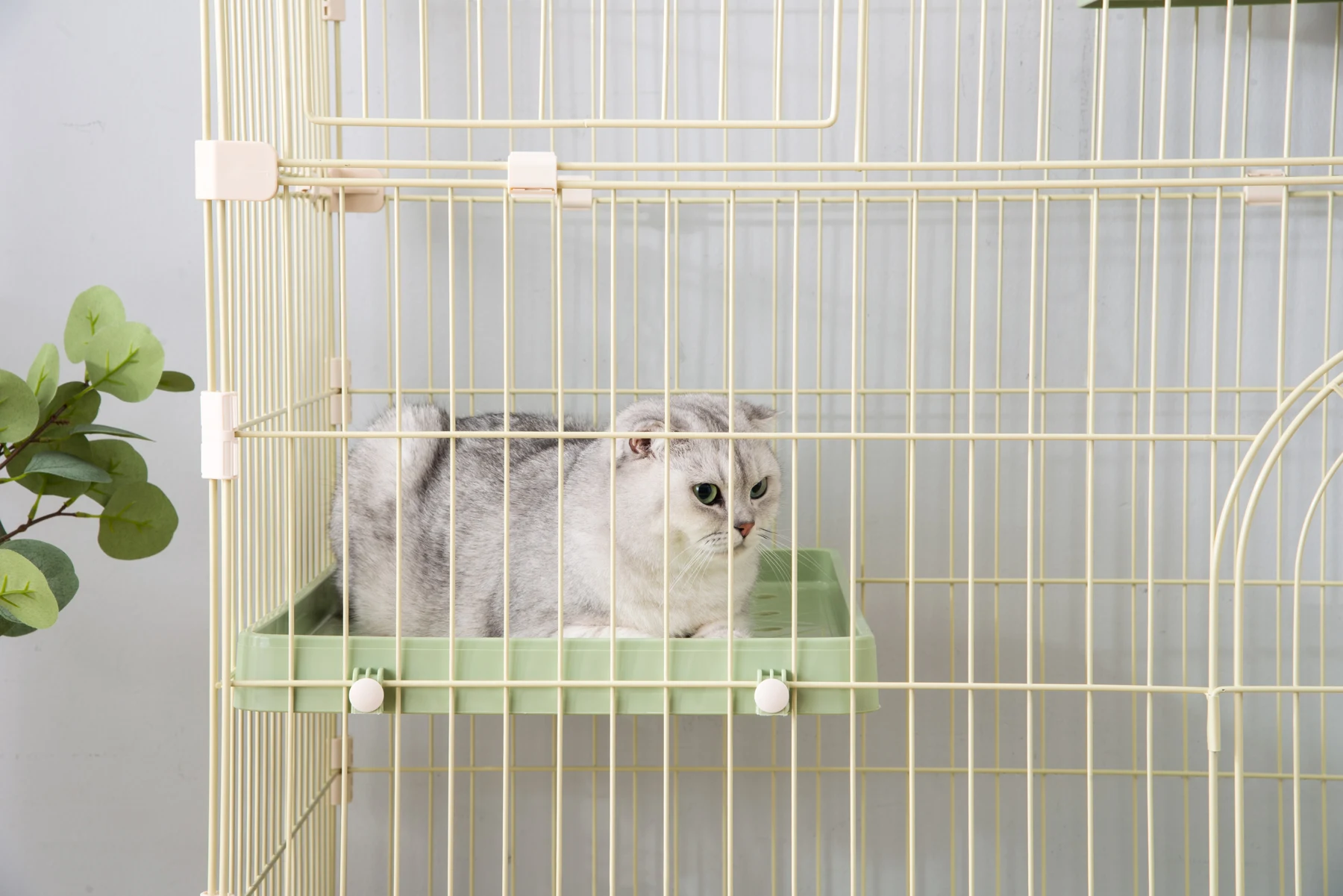 猫 ケージ キャットケージ 3段 猫ゲージ おしゃれ キャットハウス ネコ ハウス 多段 留守番 保護 脱走防止 多頭飼い 多頭 ペットケージ【グリーン】