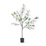 花・植物