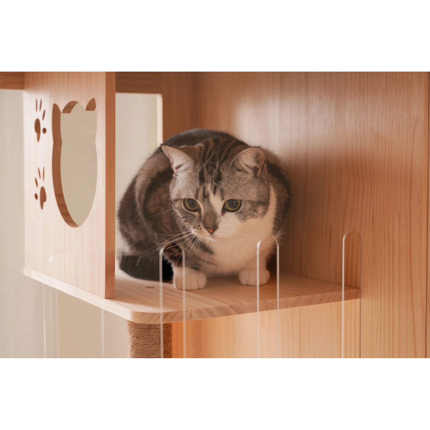 猫 ケージ キャットケージ ケージ 木製 猫 3段 高級感 ワイド 多頭飼い ペットケージ 猫ゲージ 大型 隠れ家 キャスター付き 多段 留守番 保護 脱走防止 幅広い 据え置き ペット用品 猫用品 おしゃれ