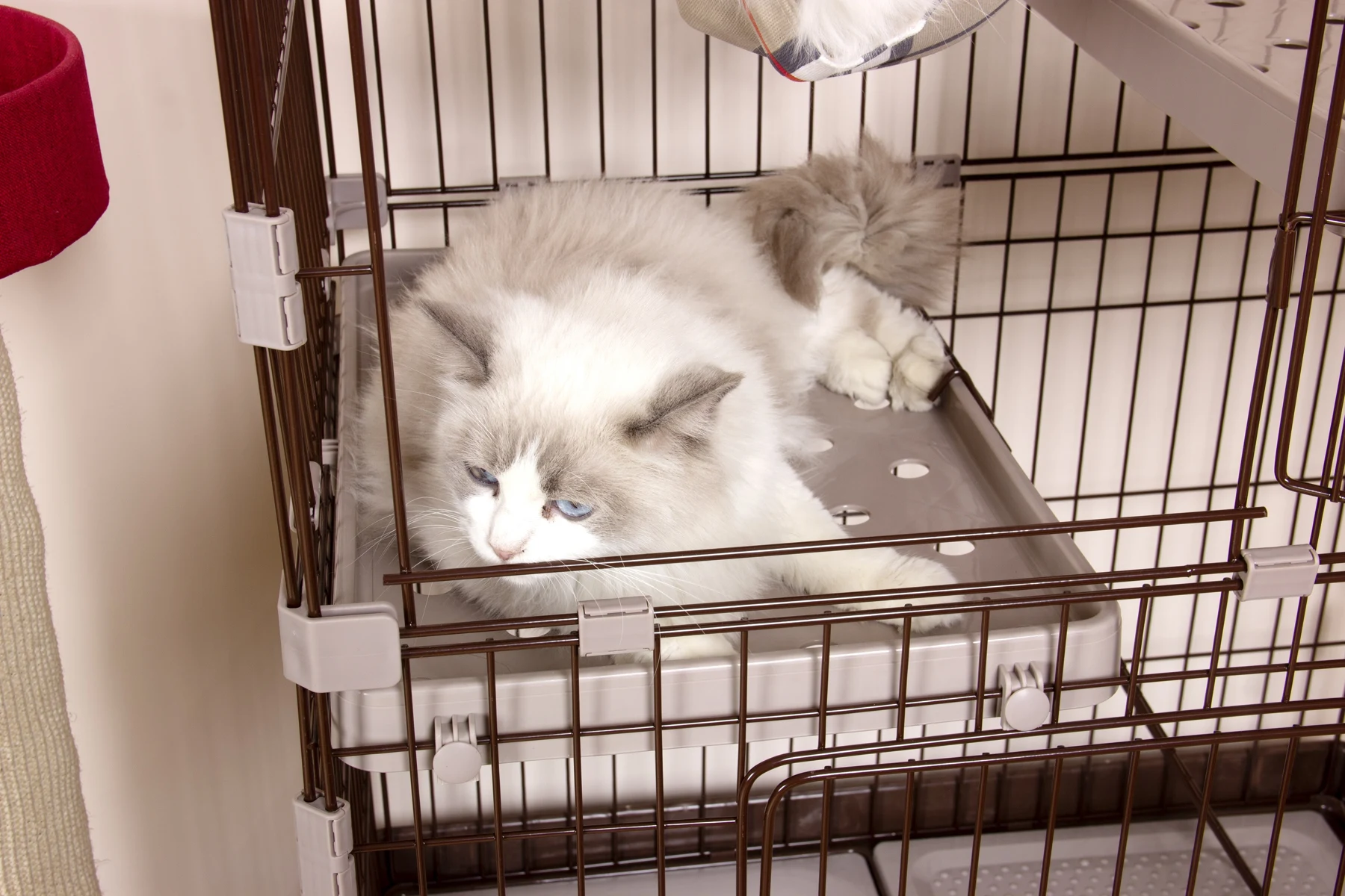 猫 ケージ キャットケージ 2段 猫トイレ付 キャスター付 ハンモック付 猫ゲージ おしゃれ キャットハウス ネコ ハウス 多段 留守番 保護 脱走防止 多頭飼い 多頭 スチール ペットケージ 新作