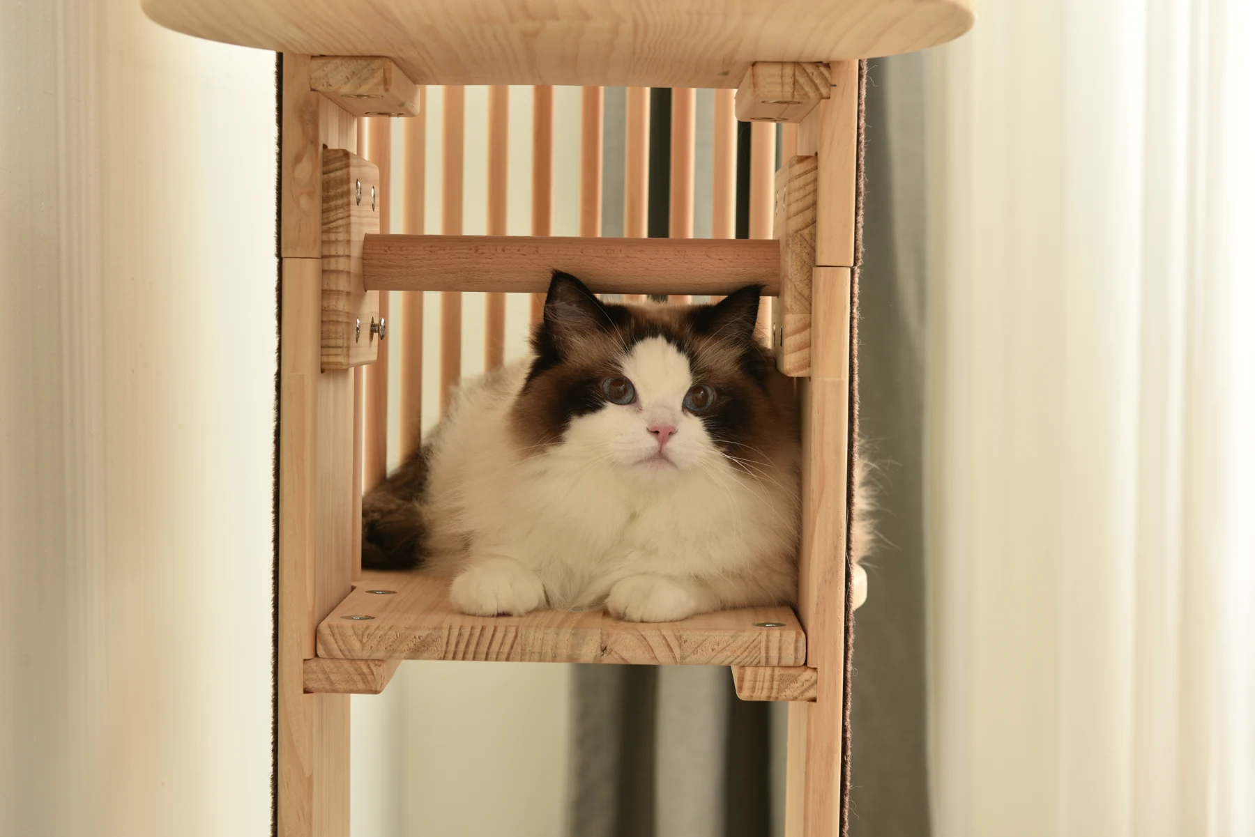 【TX309397AAA】【N504P221100A】【N504P286720A】猫タワー 木製 天然木 宇宙船付き 猫ハウス 頑丈 据え置き おしゃれ 可愛い麻紐 爪とぎ支柱 安全安心 ペット用品 ペット 通気性良い