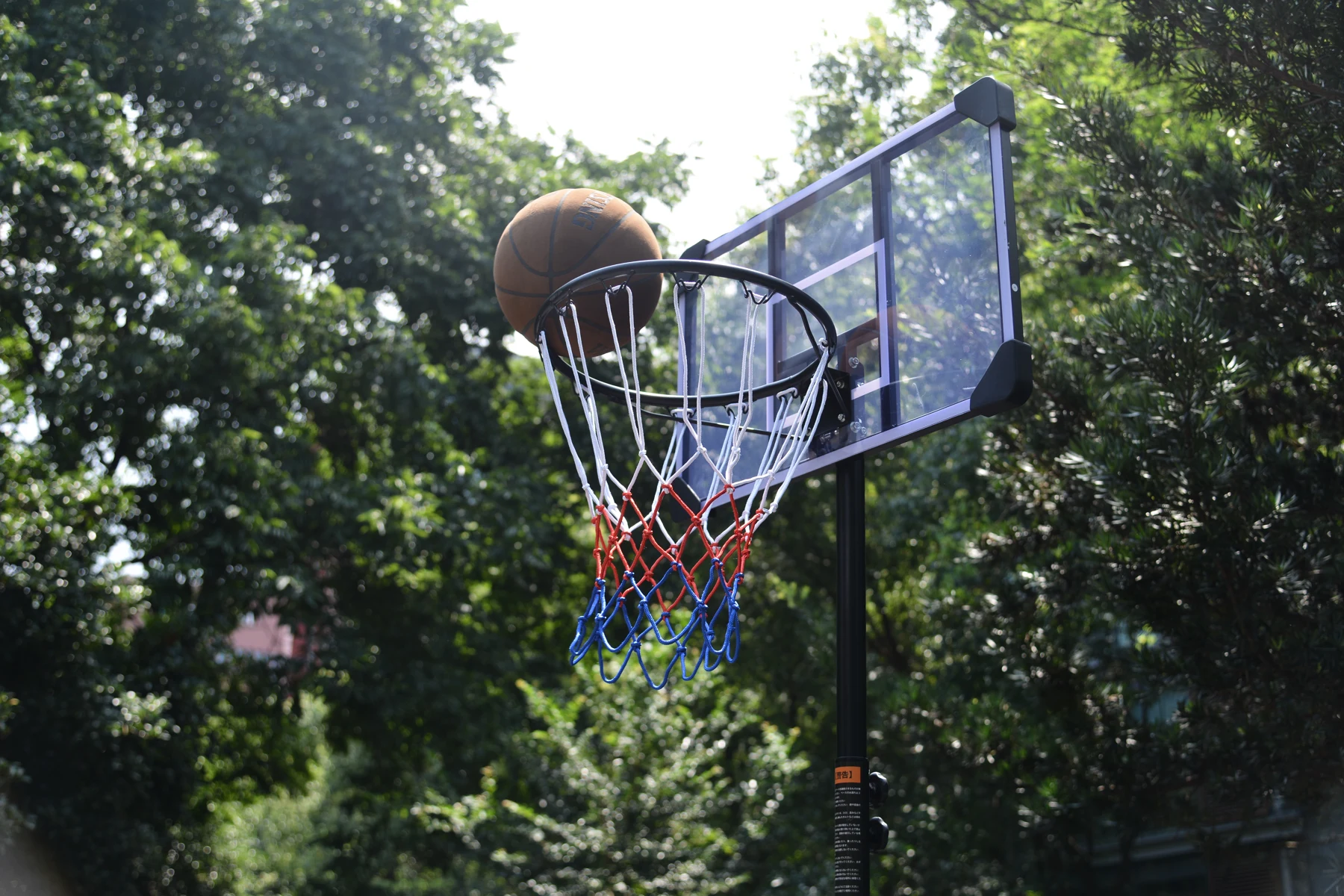 バスケットゴール 屋外 家庭用 179~270cm ミニバス対応 ゴール バスケ 子供 大人 キッズ ジュニア 小学生 こどもの日