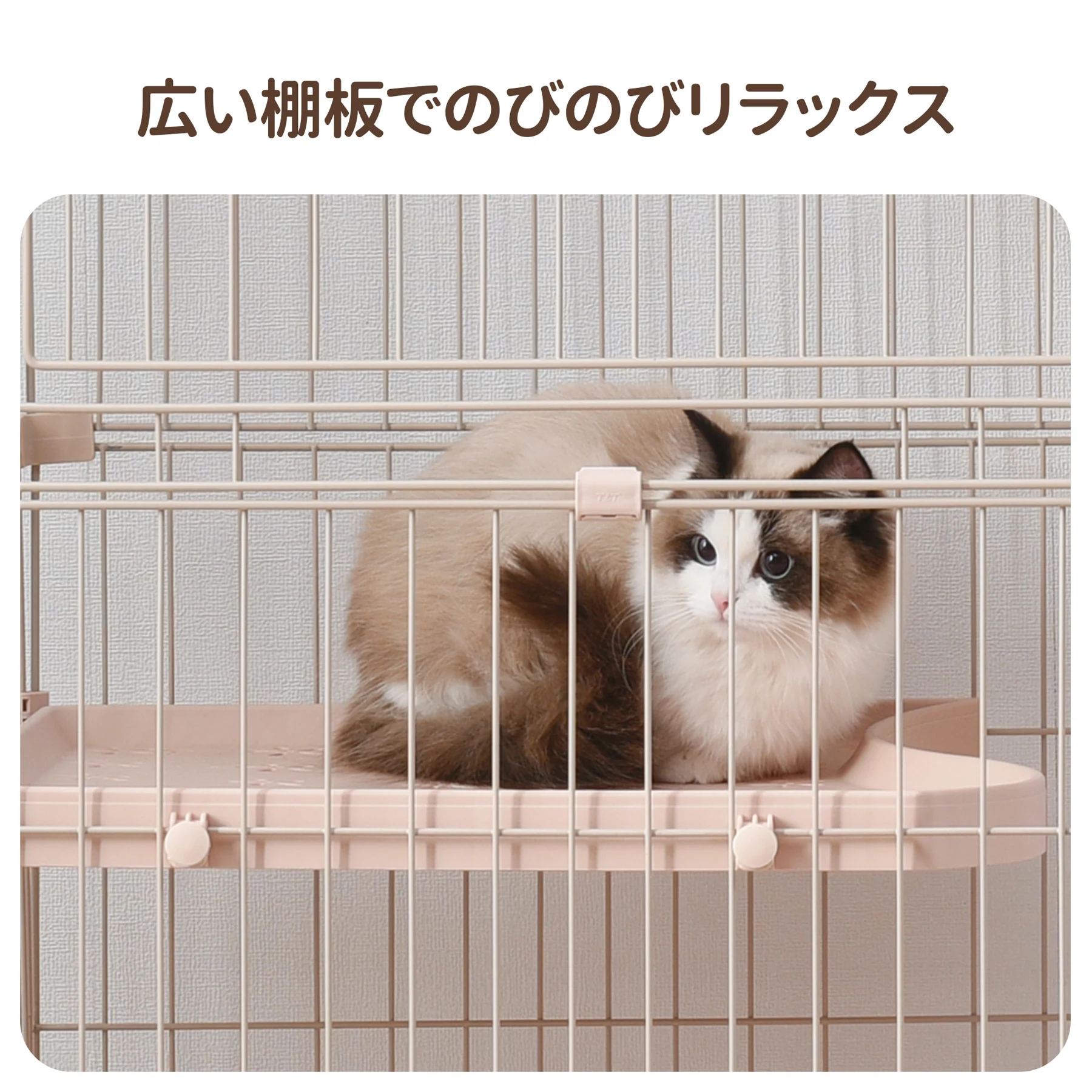 【2025年新仕様】猫 ケージ キャットケージ 2段 幅広設計 自由組み合わせ ハンモック付き 大型 猫ゲージ 高級感 おしゃれ キャットハウス ネコ ハウス 多段 留守番 保護 脱走防止 多頭飼い 多頭 スチール 【ベージュ】