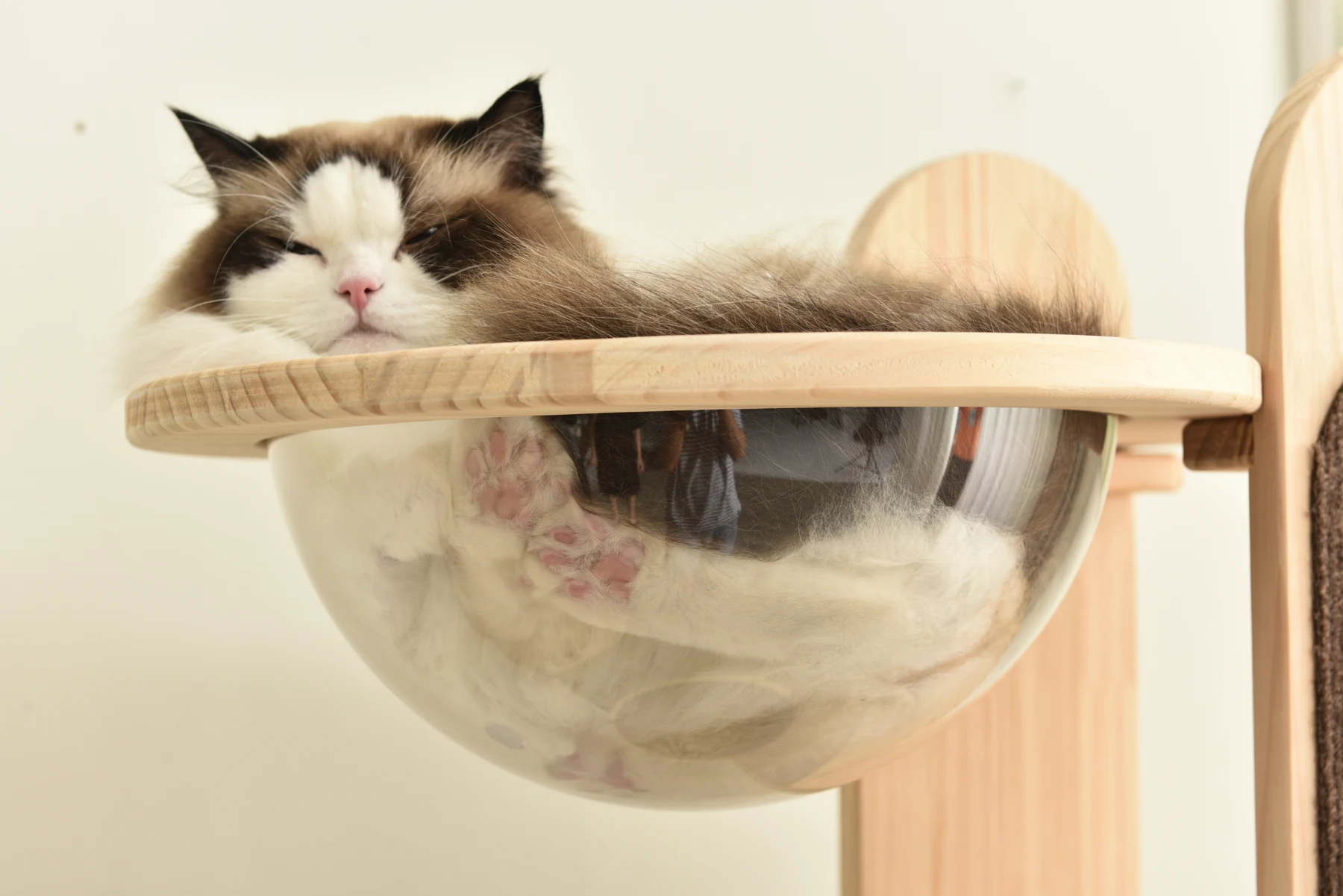 【TX309397AAA】【N504P221100A】【N504P286720A】猫タワー 木製 天然木 宇宙船付き 猫ハウス 頑丈 据え置き おしゃれ 可愛い麻紐 爪とぎ支柱 安全安心 ペット用品 ペット 通気性良い